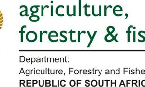 Fishing rights allocation process